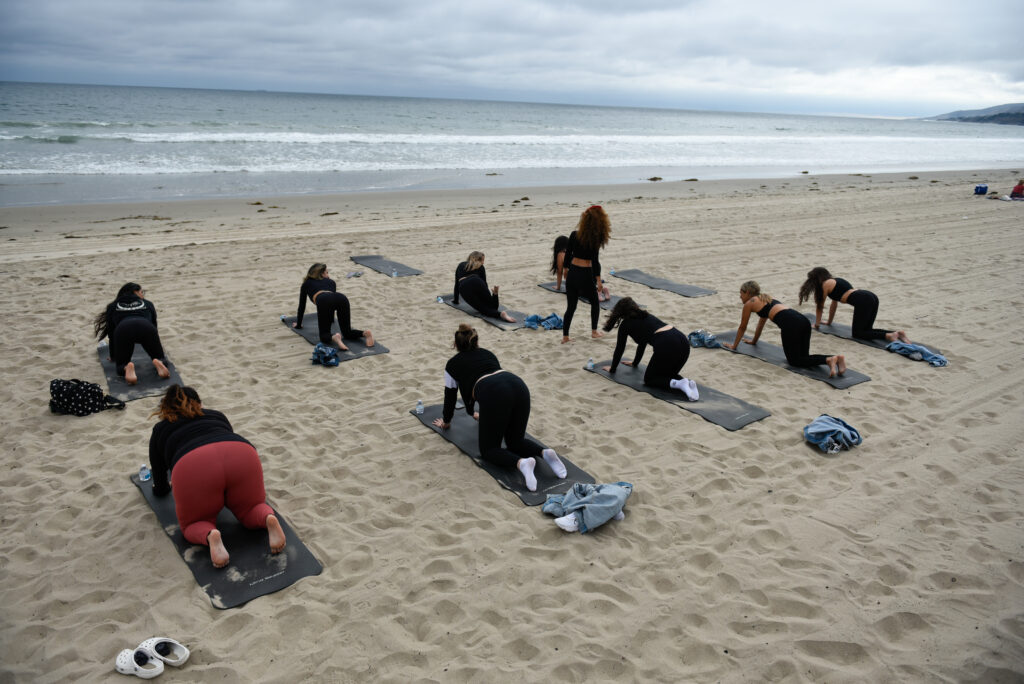 51191558694_e8dd16c966_o